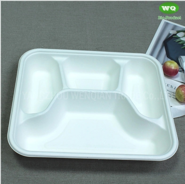 Biodegradable Sugarcane Pulp 3-Compartment Food Box-High Quality Plant Fiber Takeaway Food Container Supplier In China