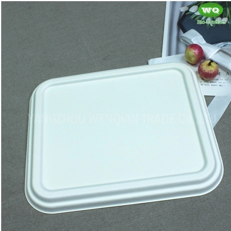 Biodegradable Sugarcane Pulp 3-Compartment Food Box-High Quality Plant Fiber Takeaway Food Container Supplier In China