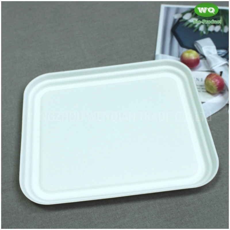 Biodegradable Sugarcane Pulp 3-Compartment Food Box-High Quality Plant Fiber Takeaway Food Container Supplier In China