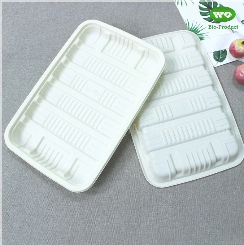 Eco-Friendly Bioplastic Meal Tray Variety Of Sizes Available-Manufacturer And Supplier Of Biodegradable PP Food Tray