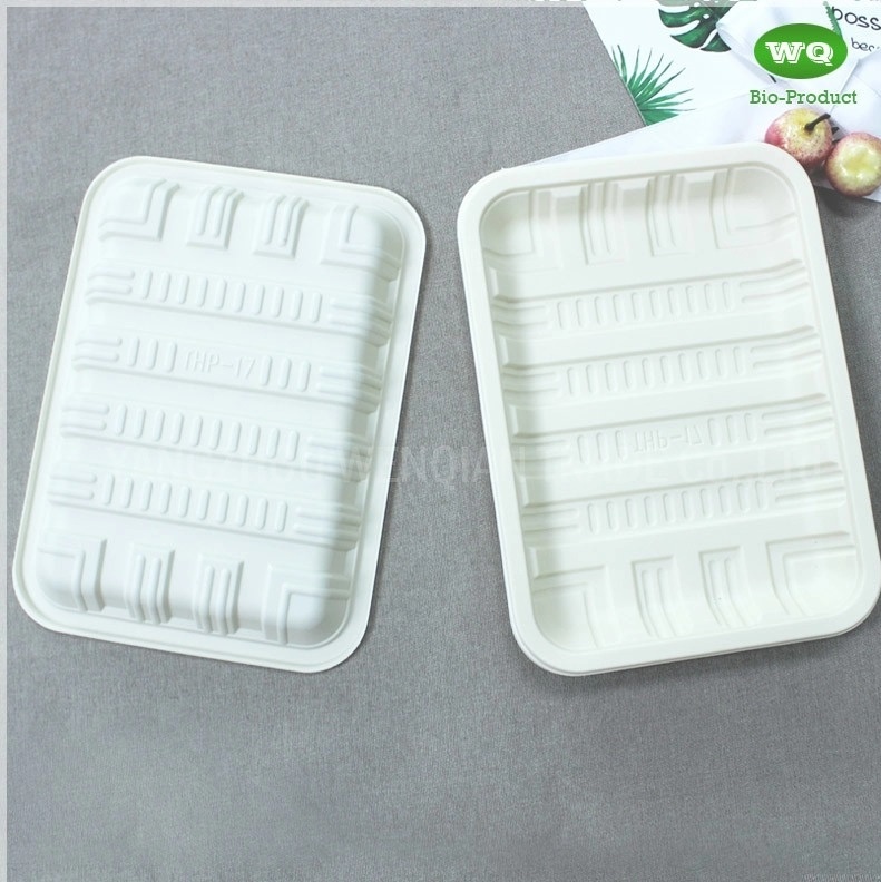 Eco-Friendly Bioplastic Meal Tray Variety Of Sizes Available-Manufacturer And Supplier Of Biodegradable PP Food Tray
