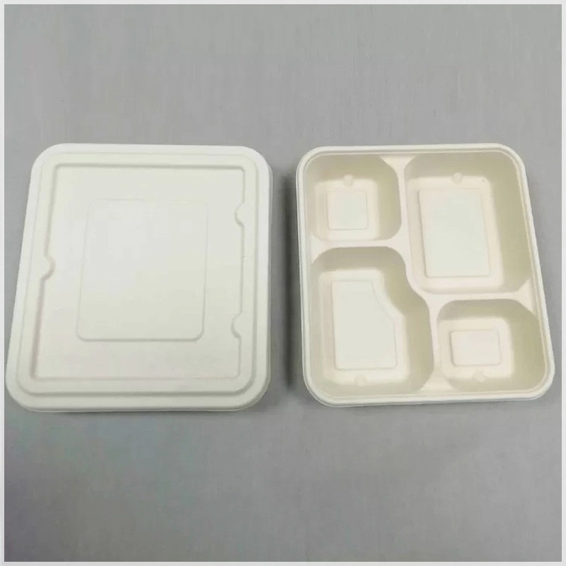 Disposable 4-Coms Square Lunch Tray With Lid-Factory Offered Sugarcane Tableware-Leak Proof Takeaway Container With Lid