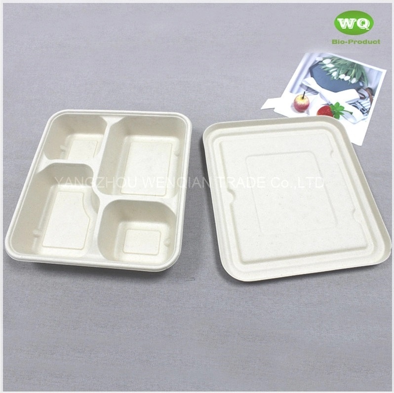 Disposable 4-Coms Square Lunch Tray With Lid-Factory Offered Sugarcane Tableware-Leak Proof Takeaway Container With Lid