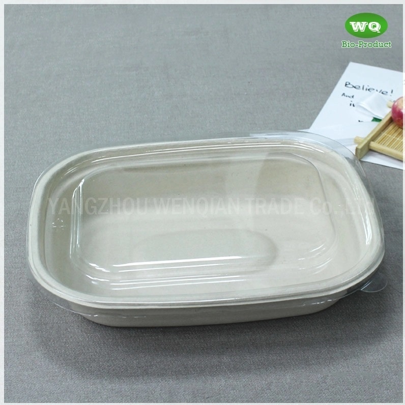 1100ml Biodegradable Natural Pulp Meal Box Eco-Friendly Paper Pulp Takeaway Food Container-China Factory Lunch Box