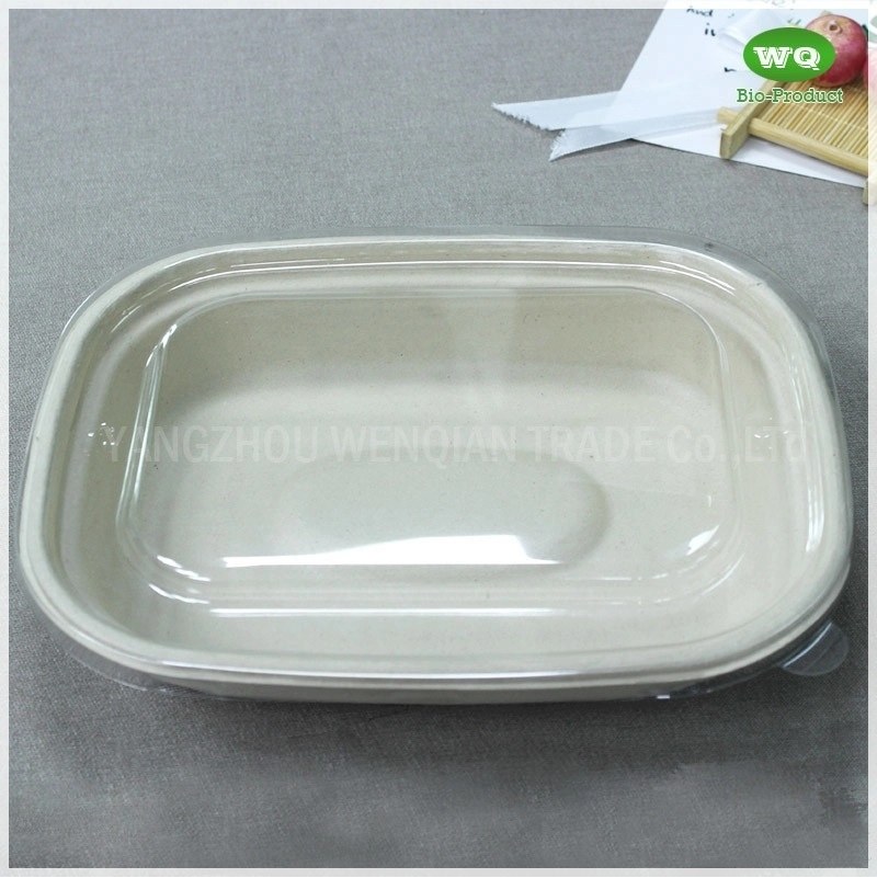 1100ml Biodegradable Natural Pulp Meal Box Eco-Friendly Paper Pulp Takeaway Food Container-China Factory Lunch Box