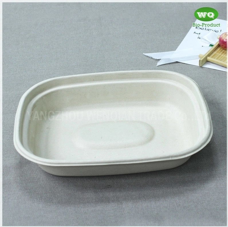 1100ml Biodegradable Natural Pulp Meal Box Eco-Friendly Paper Pulp Takeaway Food Container-China Factory Lunch Box