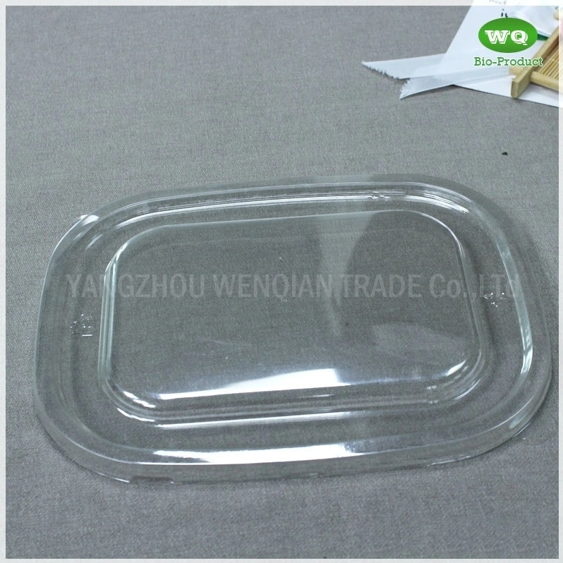 1100ml Biodegradable Natural Pulp Meal Box Eco-Friendly Paper Pulp Takeaway Food Container-China Factory Lunch Box