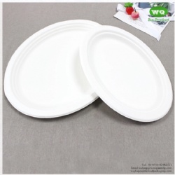 Biodegradable 10/12 Inch Oval Platters Made From Natural Sugarcane Pulp- Bamboo Dinner Plate Melamine Dinner Plate