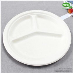 Biodegradable Sugarcane 10 Inch 3-Compartments Plate-HeavyDuty Plate, Natural Disposable Bagasse Plate for Party,Picnic