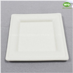 China Facotry Wholesale Sugarcane Pulp Square Plate-6 Inch/8inch/10inch,100% Biodegradable Disposable Square Party Plate