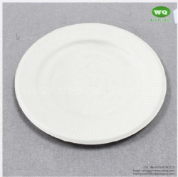 Easy Green Sugarcane Dish 6inch 7 Inch 8inch-Hot Selling Disposable Sugarcane BagassePlates China Factory Supplies