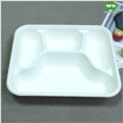 Biodegradable Sugarcane Pulp 3-Compartment Food Box-High Quality Plant Fiber Takeaway Food Container Supplier In China