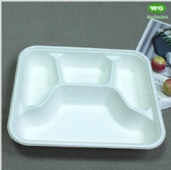 Biodegradable Sugarcane Pulp 3-Compartment Food Box-High Quality Plant Fiber Takeaway Food Container Supplier In China
