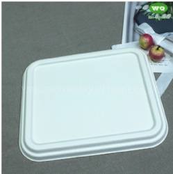Biodegradable Sugarcane Pulp 3-Compartment Food Box-High Quality Plant Fiber Takeaway Food Container Supplier In China