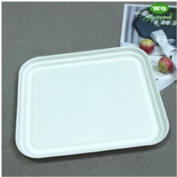 Biodegradable Sugarcane Pulp 3-Compartment Food Box-High Quality Plant Fiber Takeaway Food Container Supplier In China