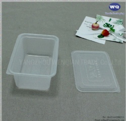 Clear Bento Lunch Boxes With Lids -Microwave Recyclable Food Containers-Food Grade PP Plastic Food Take Out Containers