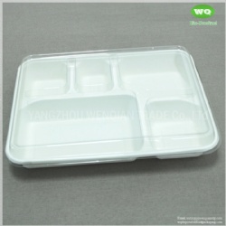 Bleached Color 5 Compartments Sugarcane Pulp Plate With Clear PET Lid-100% Compostable Sugarcane Fiber Plates,Trays