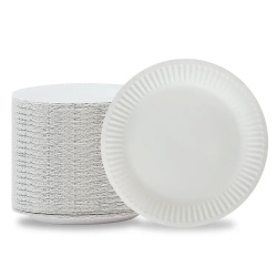 Eco friendly disposable paper plate