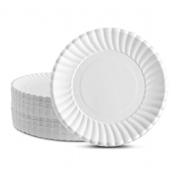 6 7 8 9 10 Inch Disposable Eco Friendly Birthday Party Paper Plates Biodegradable Paper Pulp Round Square Food Paper Plates