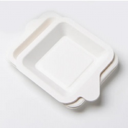 eco-friendly wholesale disposable pulp paper plate dish cake biodegradable bagasse plate square round paper plate setd Paper Plates