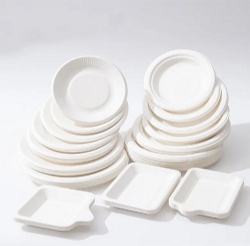 Best selling white square paper party plate wholesale disposable plates party supply paper plates