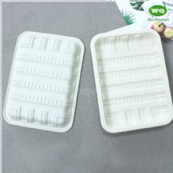 Eco-Friendly Bioplastic Meal Tray Variety Of Sizes Available-Manufacturer And Supplier Of Biodegradable PP Food Tray