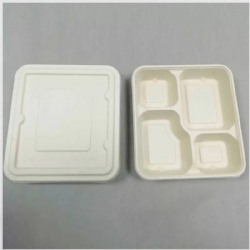 Disposable 4-Coms Square Lunch Tray With Lid-Factory Offered Sugarcane Tableware-Leak Proof Takeaway Container With Lid