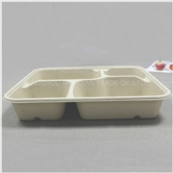 Disposable 4-Coms Square Lunch Tray With Lid-Factory Offered Sugarcane Tableware-Leak Proof Takeaway Container With Lid