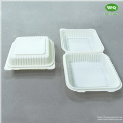 Duarable 8x8 Inch Bioplastic Hinge Food Container, 9x9inch Corn-Stach Microwave Safe Green/Healty Restaurant Packing Box