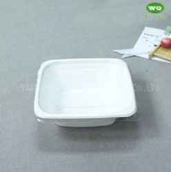 Eco-Friendly Square Sugarcane Pulp Takeaway Container With PET Dome Lid -Compostable Disposable Foodservice Products