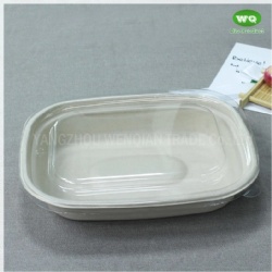 1100ml Biodegradable Natural Pulp Meal Box Eco-Friendly Paper Pulp Takeaway Food Container-China Factory Lunch Box