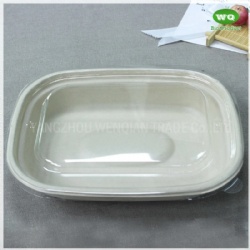 1100ml Biodegradable Natural Pulp Meal Box Eco-Friendly Paper Pulp Takeaway Food Container-China Factory Lunch Box