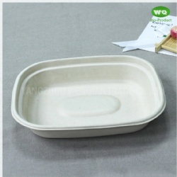1100ml Biodegradable Natural Pulp Meal Box Eco-Friendly Paper Pulp Takeaway Food Container-China Factory Lunch Box