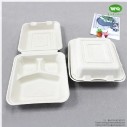 8x8 Inch Three Compartments Compostable Sugarcane Fiber Disposable Lunch Box-Disposable Food Packaging Manufacturer