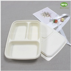 850ml 3-Coms Biodegradable Corn Starch Lunch Box ,Factory Price Food Container for street food and food to go Caterers