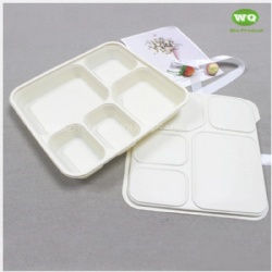 Disposable 950ml 5-Compartments Bio-plastic Lunch Box,Sustainable Food Safe Plastic Container,Custom Logo food to go Box