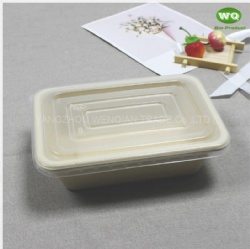 Nature Color Biodegradable 700ml Paper Pulp Box-Easy Green Disposable Packaging Solutions For Dinner Party Restaurant