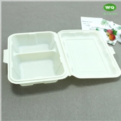 Food Grade Corn Starch PP 9x6 Inch 2 Compartments Lunch Box,Factory Offer Renewable Resources Disposable Containers