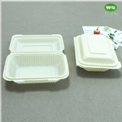 7x5 Inch Biodegradable Bioplastic Hinged food boxes,natural plants eco-friendly material Compostable Food Containers